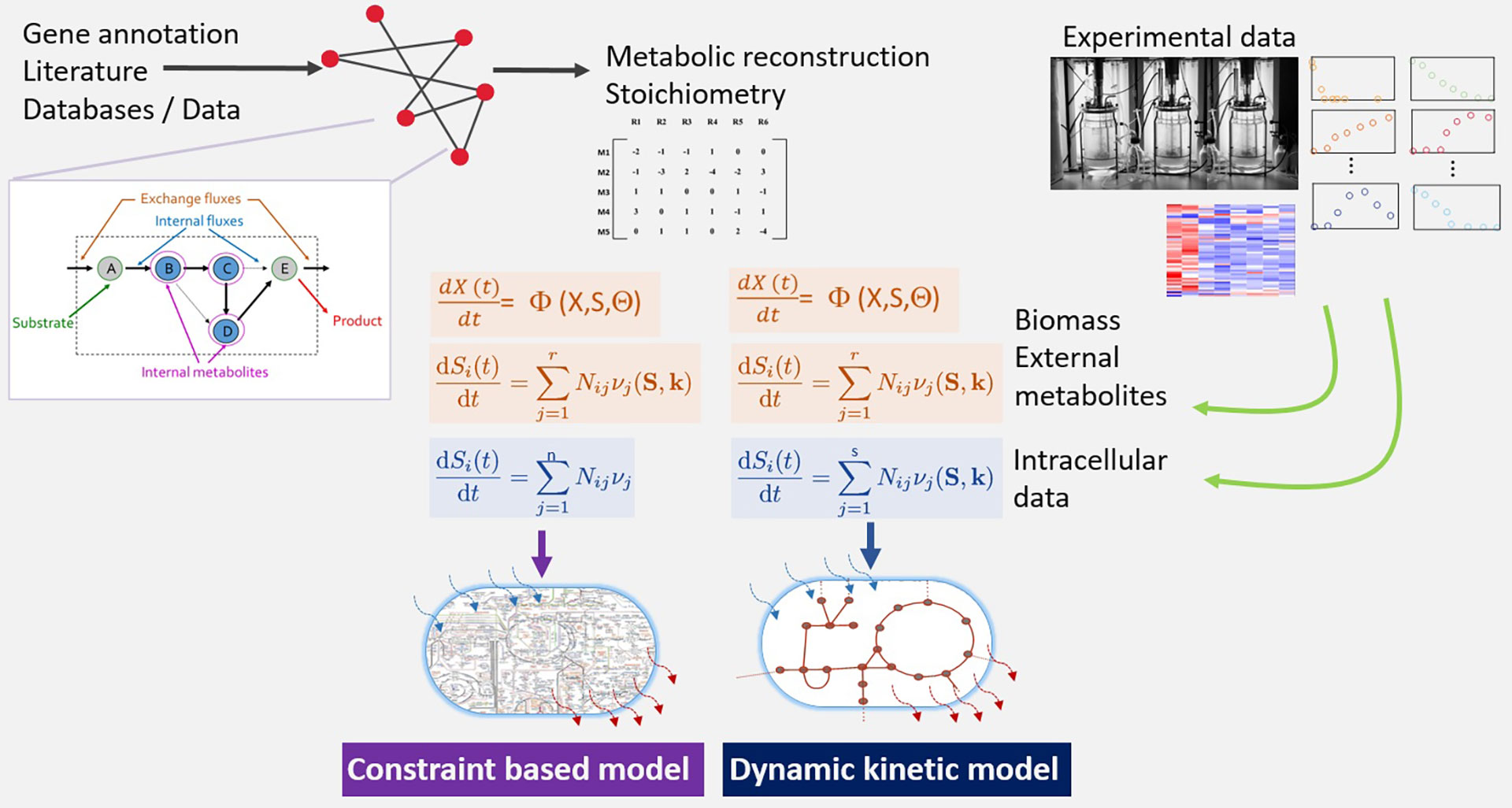 Figure modeling systems