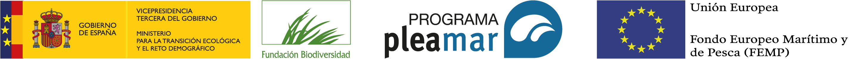 Logo Pleamar - Fundacion Biodiversidad